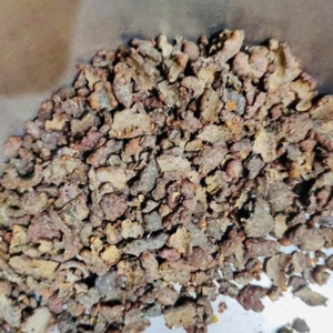 Peepal Lakh | Pipal Tree Gum | Ficus Religiosa | Sacred Fig | Ficus | Lac - Picture 1 of 1