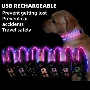 Nuevo collar reflectante ajustable para mascotas con luz LED para seguridad nocturna - Imagen 1 de 14