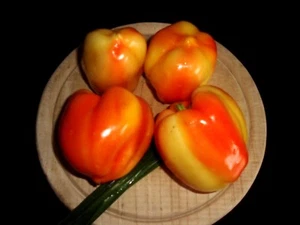 Semillas de pimiento 10 pimientos húngaros Pusztagold semillas, pimientos - Imagen 1 de 2