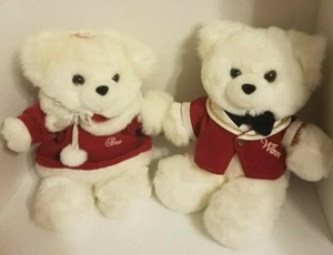 Vintage Pair of Winn Dixie Dan Dee Winn & Dixie Plush Holiday Teddy Bears 12" - Picture 1 of 7