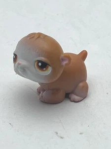LPS Littlest Pet Shop hellbrauner Hamster braune Augen - Bild 1 von 5