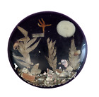 Plaque coquille acrylique lucite étoile de mer décoration océanique trivet vintage 1960 souvenir hawaïen