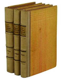 DAS LEBEN FRIEDRICH NIETZSCHE'S Elisabeth Forster-Nietzsche ~ First Edition 1895 - Imagen 1 de 8