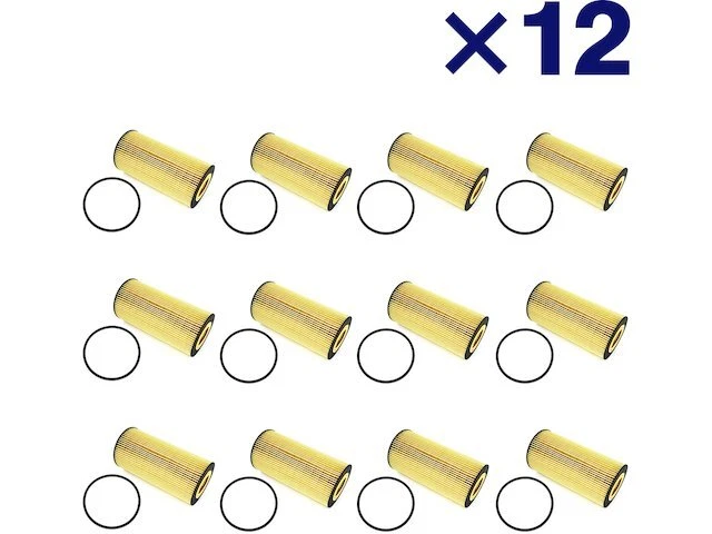 Replacement Engine Oil Filter Kit fits Ford F350 Super Duty 2003-2010 54QJKH Foto 1 de 1