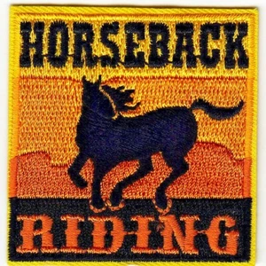 HORSEBACK RIDING Iron On Patch Western Southwest Horses - Bild 1 von 2