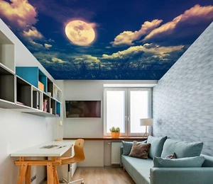 3D Full Moon I6329 Ceiling WallPaper Murals Wall Print Decal Deco Erin 2023 - Picture 1 of 5