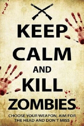 Poster Keep Calm and Kill Zombies The Walking Dead Horror - Image 1 of 1