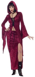 Sexy Gothic Maiden of Darkness Adult Women Costume - Picture 1 of 2