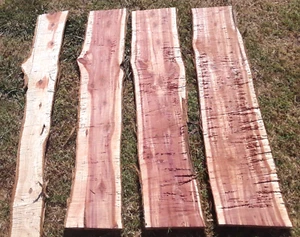 RED CEDAR LIVE EDGE WOOD SLABS GREAT FOR RUSTIC LOOKING WOOD PROJECTS 4 PIECES - Picture 1 of 11