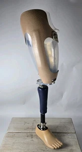Prótesis Otto Bock Titan pierna derecha por encima de la rodilla con pie buen estado 1H38 usada - Imagen 1 de 22
