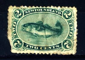 NEWFOUNDLAND - TERRANOVA - 1866 - Merluzzo (Gadus morrhua) - Imagen 1 de 1
