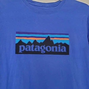 Patagonia Boys XXL (16-18) P-6 Logo Organic T-Shirt, Bayou Blue  - Picture 1 of 15