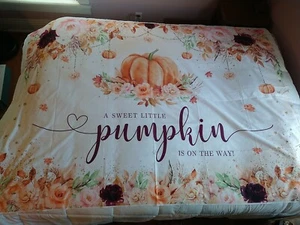 Telón de fondo Little Pumpkin Baby Shower 7x5 pies A Little Sweet Pumpkin is On The Wa... - Imagen 1 de 7