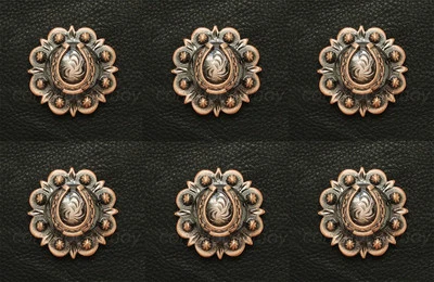 Juego de 6 CONCHOS DE ZAPATA DE CABALLO WESTERN COLOR COBRE SILLA DE MONTAR 1" tornillo trasero Foto 1 de 3