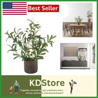 Реалистичная 18-дюймовая искусственная оливковая ветвь в деревенском стиле для рассады - Изображение 1 из 4