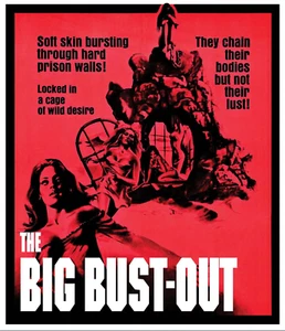 35 mm THE BIG BUST OUT (1972) italienischsprachiger Spielfilm. - Bild 1 von 11