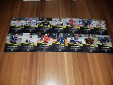 DEL2 DEL 2 18-19 2018-2019 Team Set CAPTAINS 14 Cards NEW