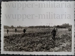 Polen Gefechtsfeld Formation Ausrüstung A044-209 - Bild 1 von 1