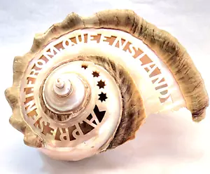 "A present From Queensland" Lg 7.25"Carved Turbo Marmoratus Green Turban Shell - Picture 1 of 9