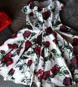 Chasing Fireflies Girls size 14 fit & flare dress pleated skirt white w/ roses - Picture 1 of 13