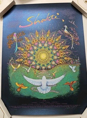 Shakti Tour Metalic 海报 Marq Spusta 18x24 LE 460/500 签名 全新 — 第 1/4 张图片