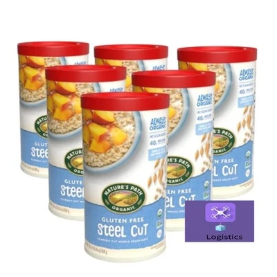 Nature's Path Organic Gluten Free Steel Cut Oatmeal 6ct / 30oz - Image 1 of 3