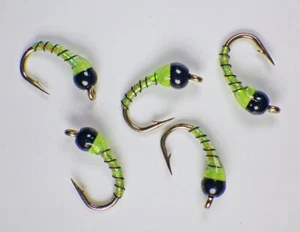 Zebra Midge Tungsten Nymphen Chartreuse - Premium Forellen Fliegenfischen Fliegen Set - Bild 1 von 24