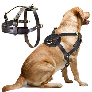 Large Dog Training Harness Heavy Duty Genuine Leather Extra Big Dog Pulling Vest - Picture 1 of 15