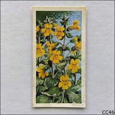 Brooke Bond Tea Card Wild Flowers Series 3 1964 #27 Monkey Flower (CC46)