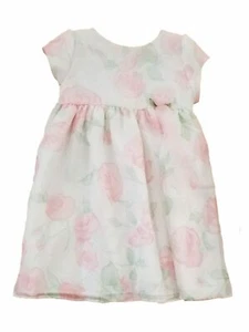 Infant Baby Girls White Pink Rose Green Holiday Fancy Party Easter Dress 12M - Picture 1 of 1