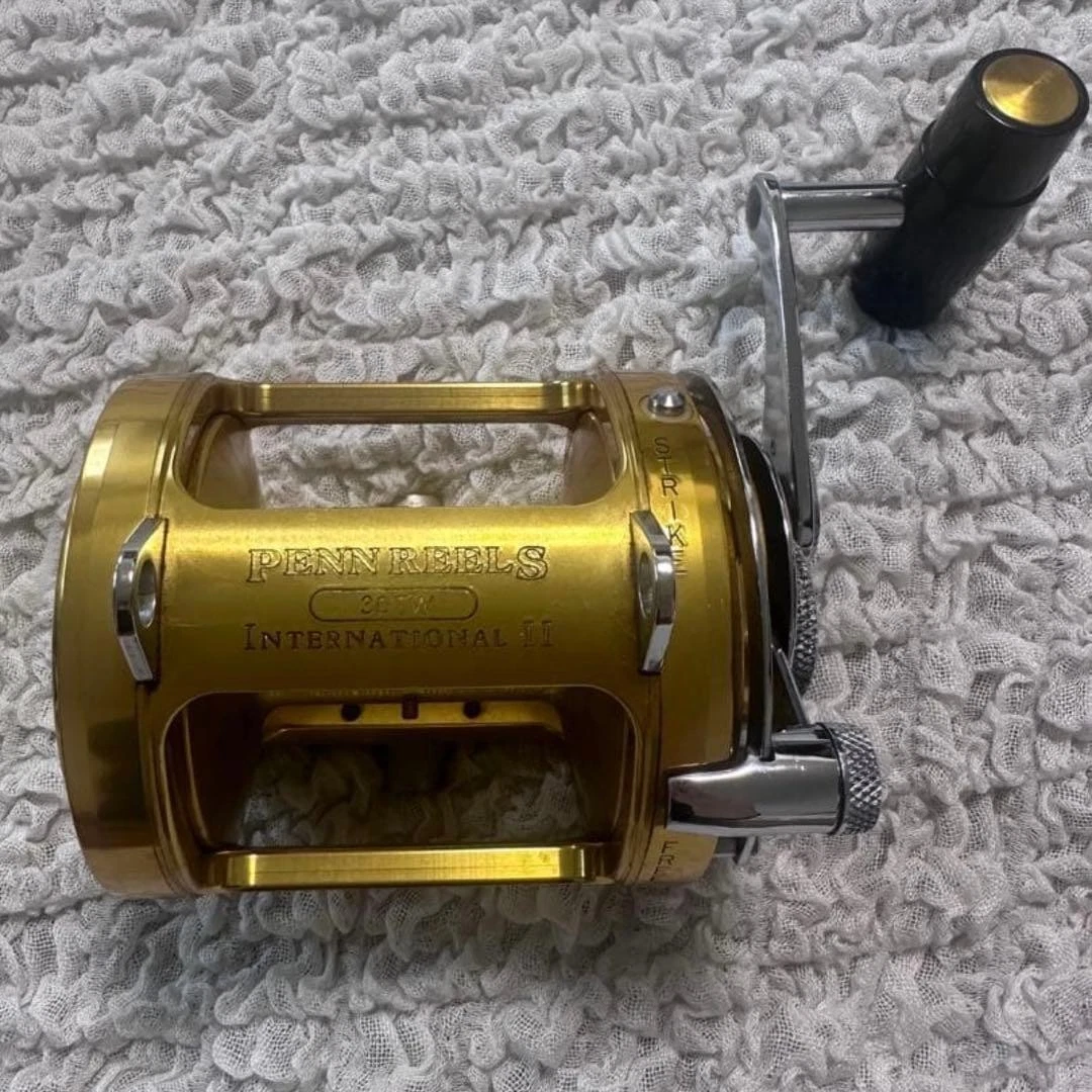 Penn International 30tw for sale | eBay