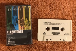 the fleshtones roman gods cassette tape 1981 IRS cs70018 garage psych cutting ed - Picture 1 of 2
