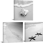 3 Piece Black White Tropical Sea Sand Beach Picture Canvas Print Ocean Wave Shel