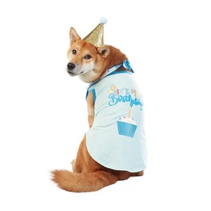 Dog Birthday Party Set Birthday Boy Theme Large Size Party Supplies - Picture 1 of 9