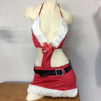 Sexy disfrazar de Miss Santa Claus cortado vacaciones de Navidad Foto 1 de 4