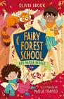 Fairy Forest School: Red Panda Riddle: Book 5 by Olivia Brook Paperback Book