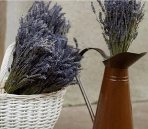 LARGE PROVENCE LAVENDER BUNCH DRIED FLOWER BOUQUET 300 STEMS FRAGRANT WEDDING - Picture 1 of 1