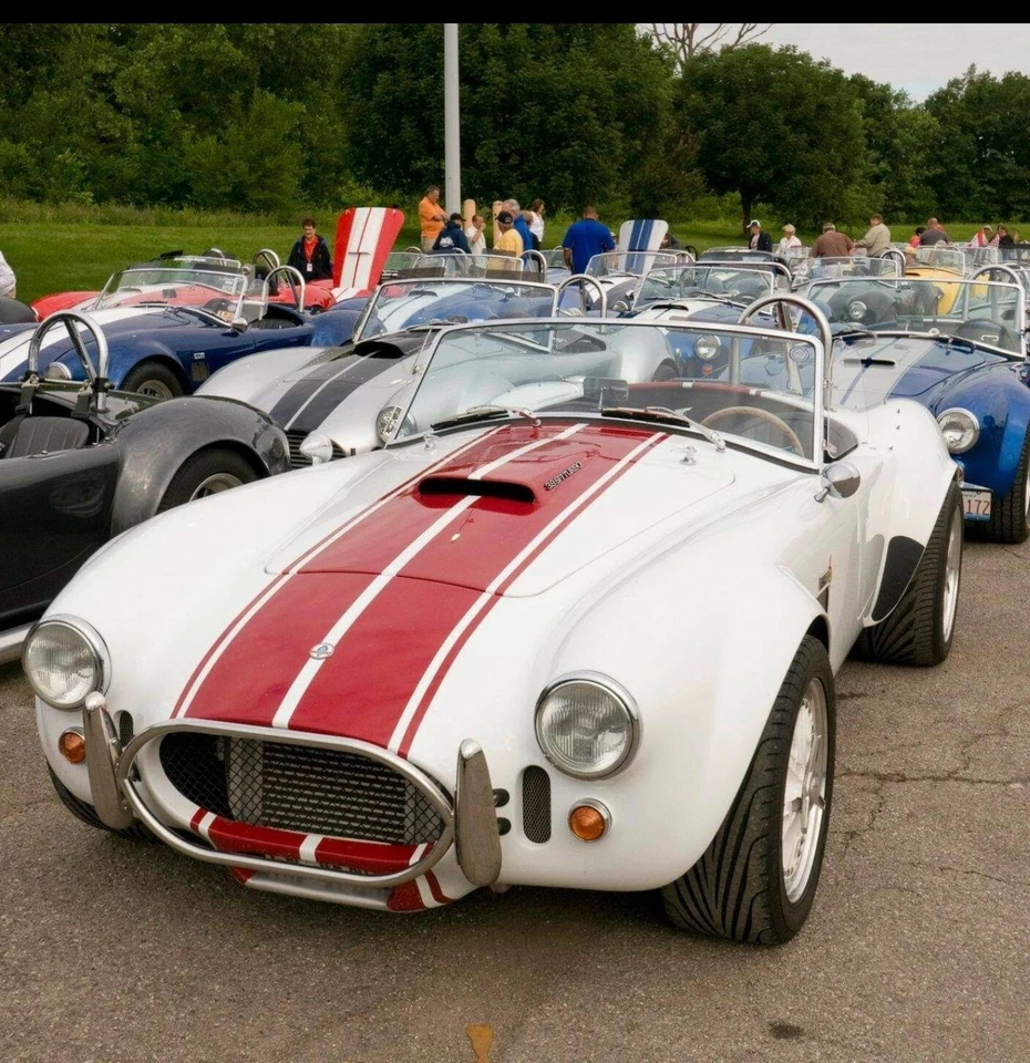 Juego de calcomanías de gráficos de rayas gemelas de 10" para kit Cobra temprano coche Mustang Foto 1 de 1