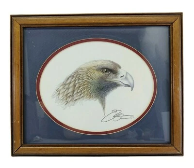 Obra de arte enmarcada de halcón dibujada a mano firmada 1987 Foto 1 de 4