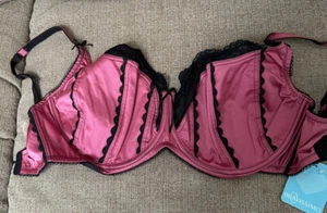NWT Passion Balconett Bra 32G Raspberry Satin Lace Balconette Plunge - Picture 1 of 1