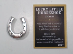 Y1 The lucky little horseshoe Pocket Charm token good luck Ganz - Imagen 1 de 10