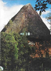 Vintage Deutschland Chrom Postkarte Appelschuer Gelsenkirchen Reetdach - Bild 1 von 2