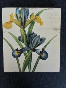 Botanical Wall Art Box Frame Picture Of Spanish Iris / Iris Xiphium 20cm 22.5cm - Picture 1 of 13