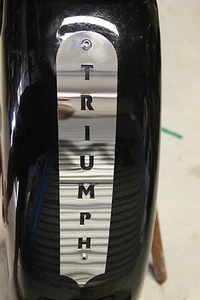 TRIUMPH America Speedmaster STAINLESS fender BIB *TRIUMPH* - Picture 1 of 5