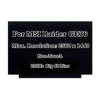 17.3" 240Hz QHD LCD Screen IPS Display Replacement for MSI Raider GE76 2560x1440 - Image 1 of 4