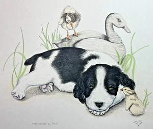 Vintage Springer Spaniel cucciolo cane 11x14 colori stampa artistica dell'artista Judy Young - Foto 1 di 4