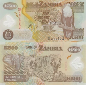 Zambia 500 Kwacha (2008) - Polymer/Eagle/Elephant/p43f UNC - Picture 1 of 3