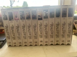 Time Life David Attenborough's The Trials of Life 12 VHS Box Set Complete 1991 - Picture 1 of 5