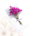 6 Pcs The Perfect Invitation Greeting Cards Dried Flower Flowers