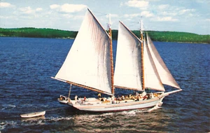 Schoner Segelschiff Alice S Wentworth Maine Postkarte K432 - Bild 1 von 2